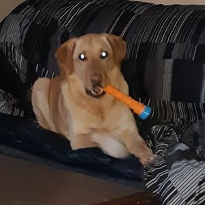 Meet your Posher, Connie